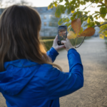 Kvinde i blå regnjakke set skråt bagfra i en dansk park i eftermiddagslys, mens hun fotograferer et kastanjeblad med mobilkameraet