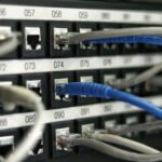 Nærbillede af blå netværkskabler, der er sat i en switch i et serverrack