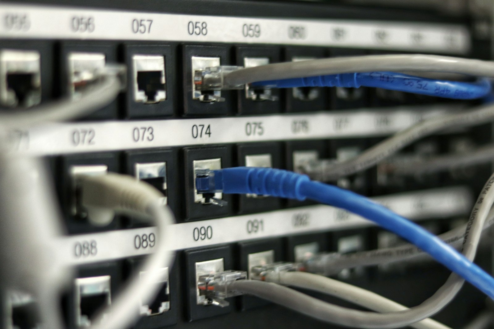 Nærbillede af blå netværkskabler, der er sat i en switch i et serverrack